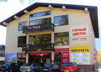 Описание изображения